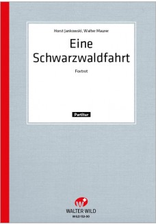 Eine Schwarzwaldfahrt